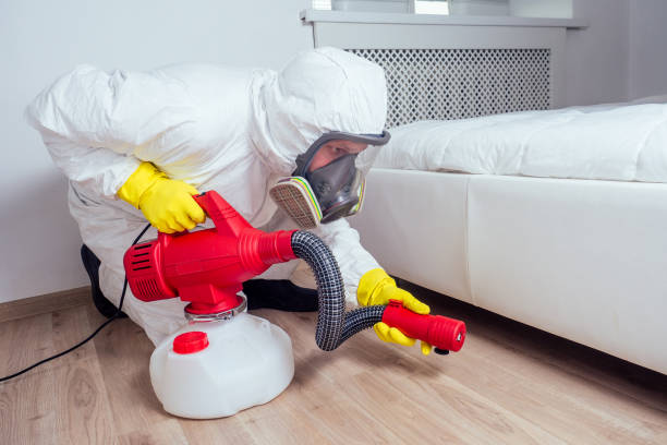 Best Insect Control  in Little Round Lake, WI