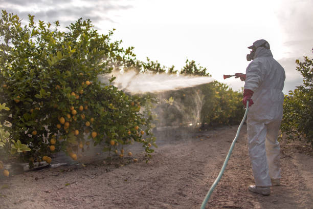 Best Wildlife Control Services  in Little Round Lake, WI