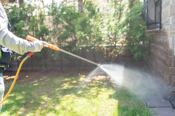 Best Bed Bug Extermination  in Little Round Lake, WI