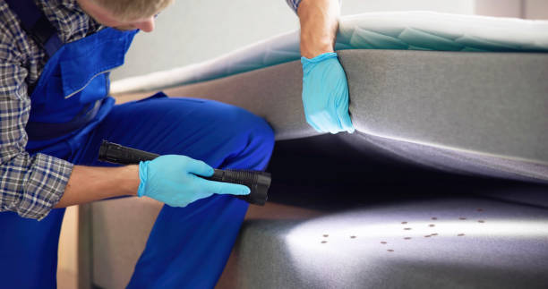 Pest Control Cost in Little Round Lake, WI