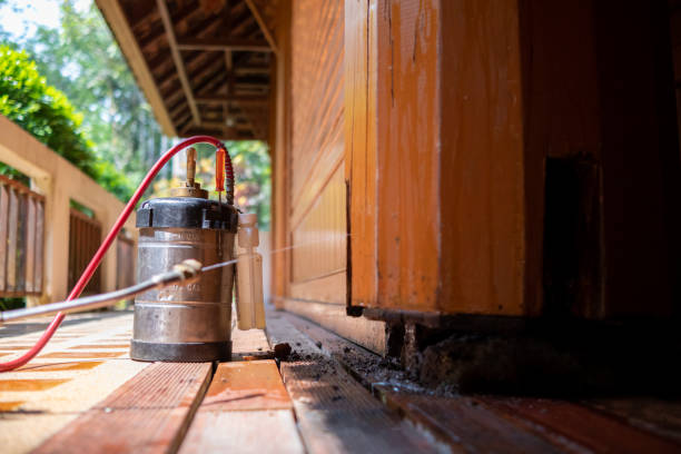 Best Exterminator Services  in Little Round Lake, WI