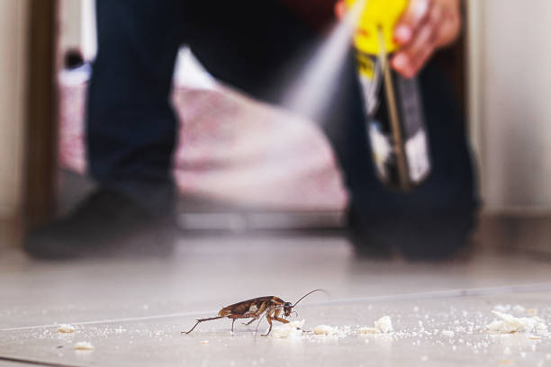 Best Pest Prevention Services  in Little Round Lake, WI