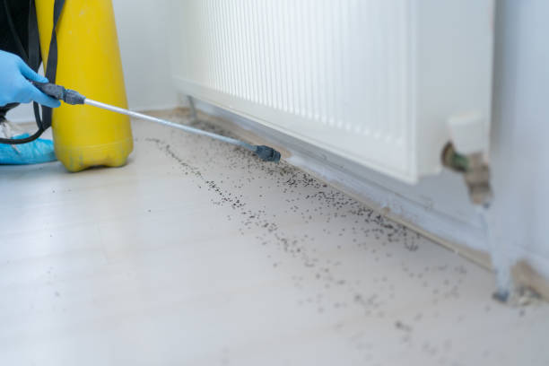 Best Pest Control Near Me  in Little Round Lake, WI
