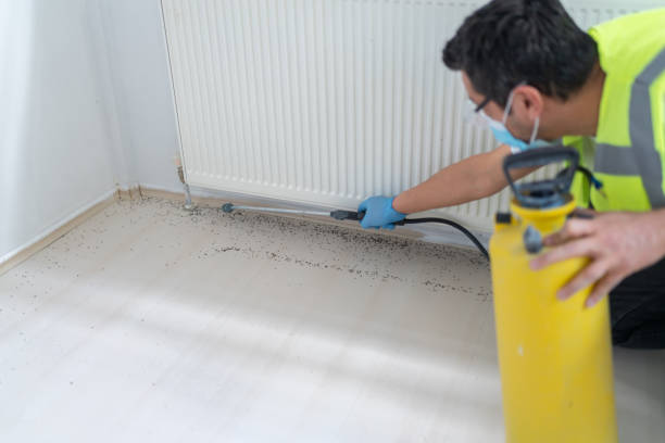 Best Best Pest Control Companies  in Little Round Lake, WI